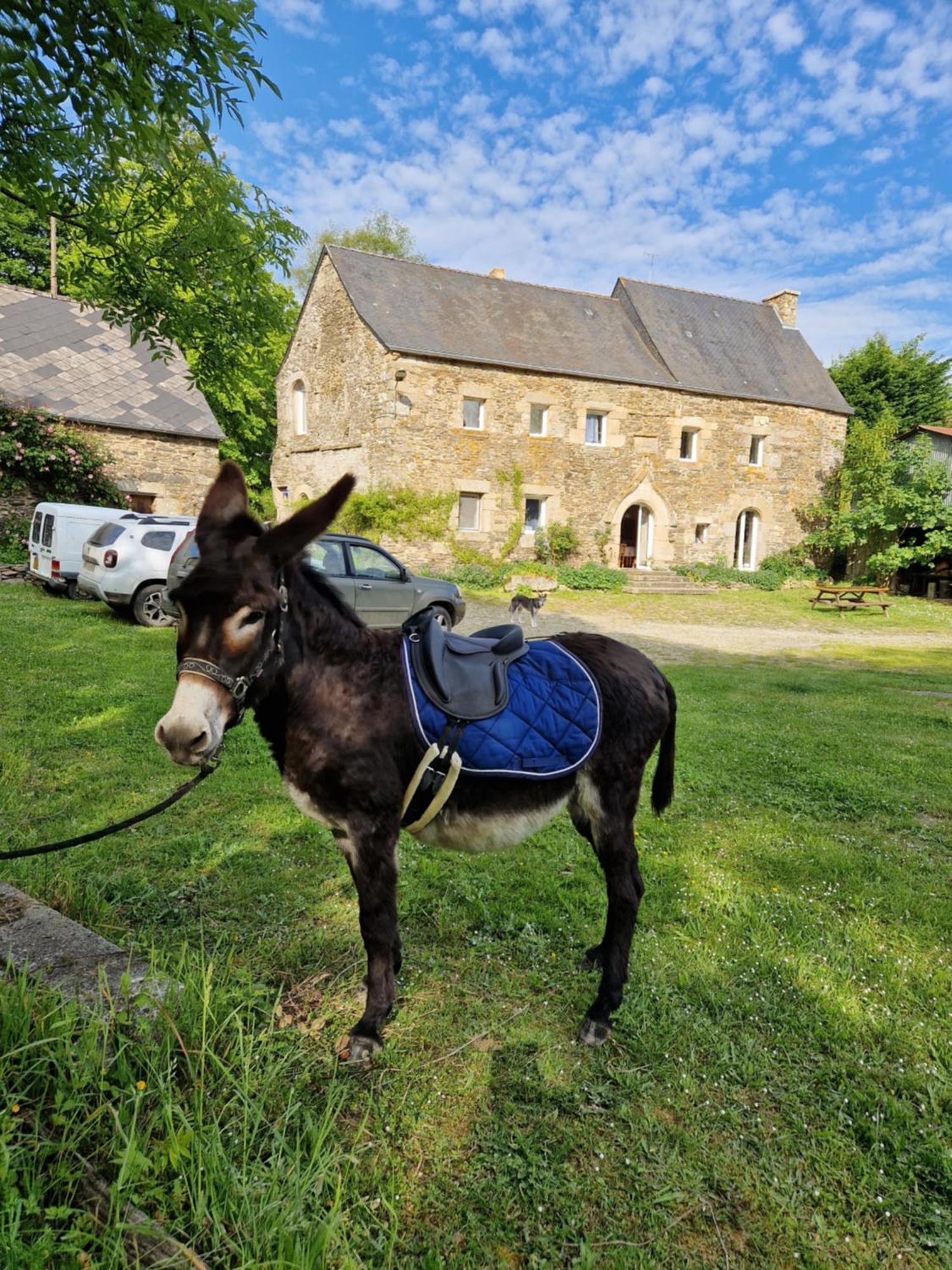 Bed and Breakfast Manoir De Questinguy Allineuc Zewnętrze zdjęcie